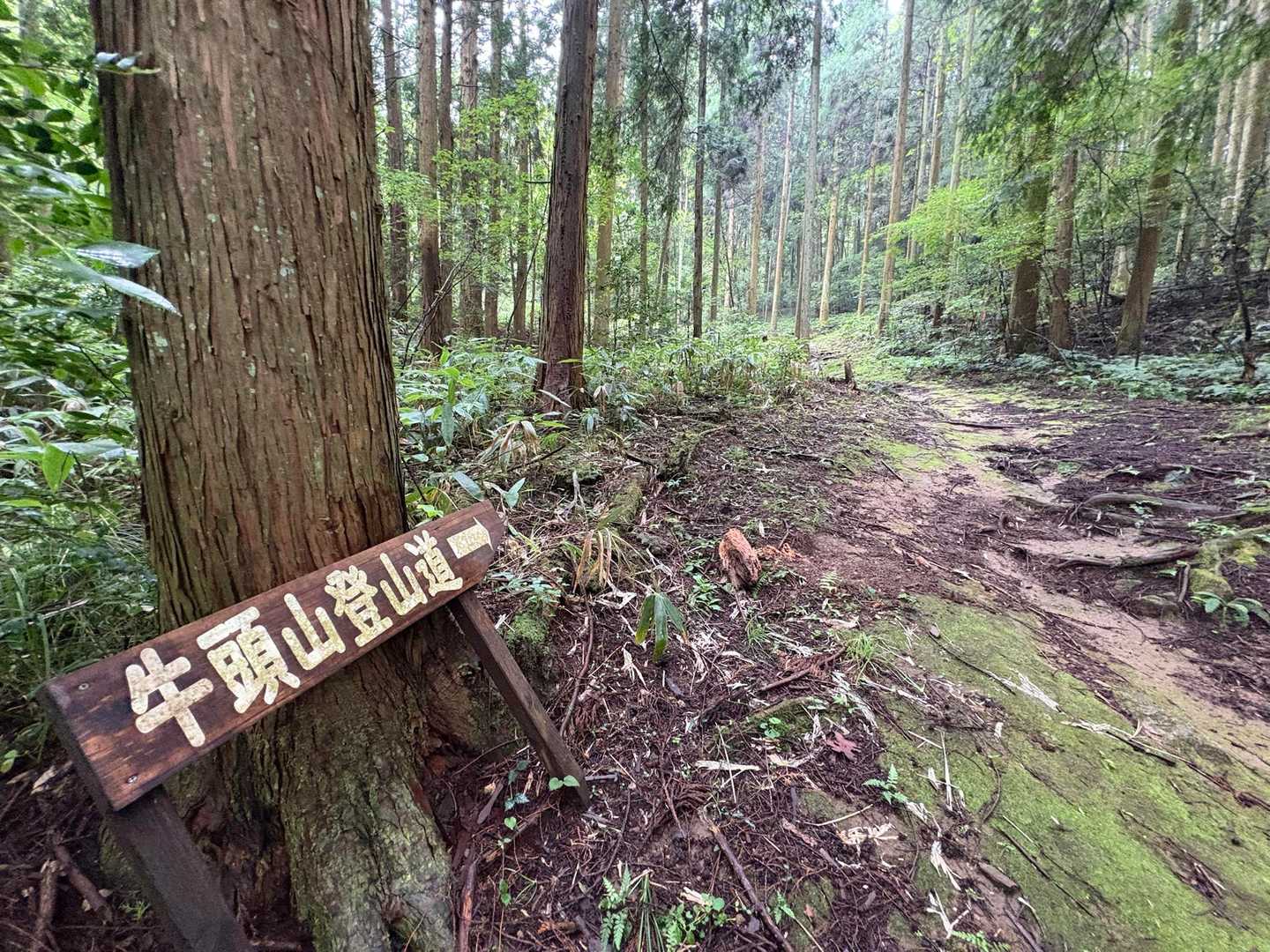 地味に急登 ( ˙º̬˙ )و ̑̑