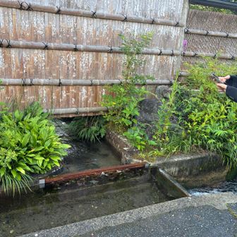 家の中にも引き込まれている〜