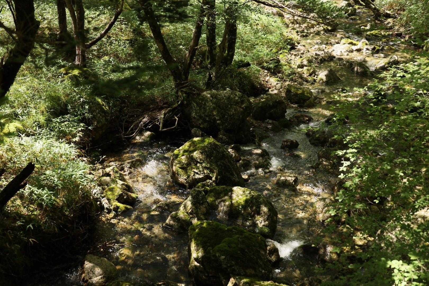 大杉峡谷登山口-休憩所-堂倉滝吊橋-大台ヶ原山-大台ヶ原バ 往復コースの写真