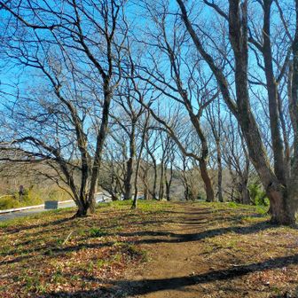 駐車場が見えてきました。