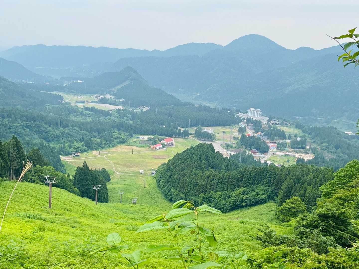 好きな光景