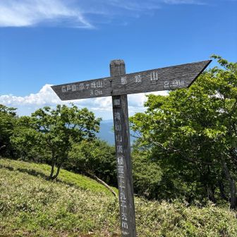 滝山山頂