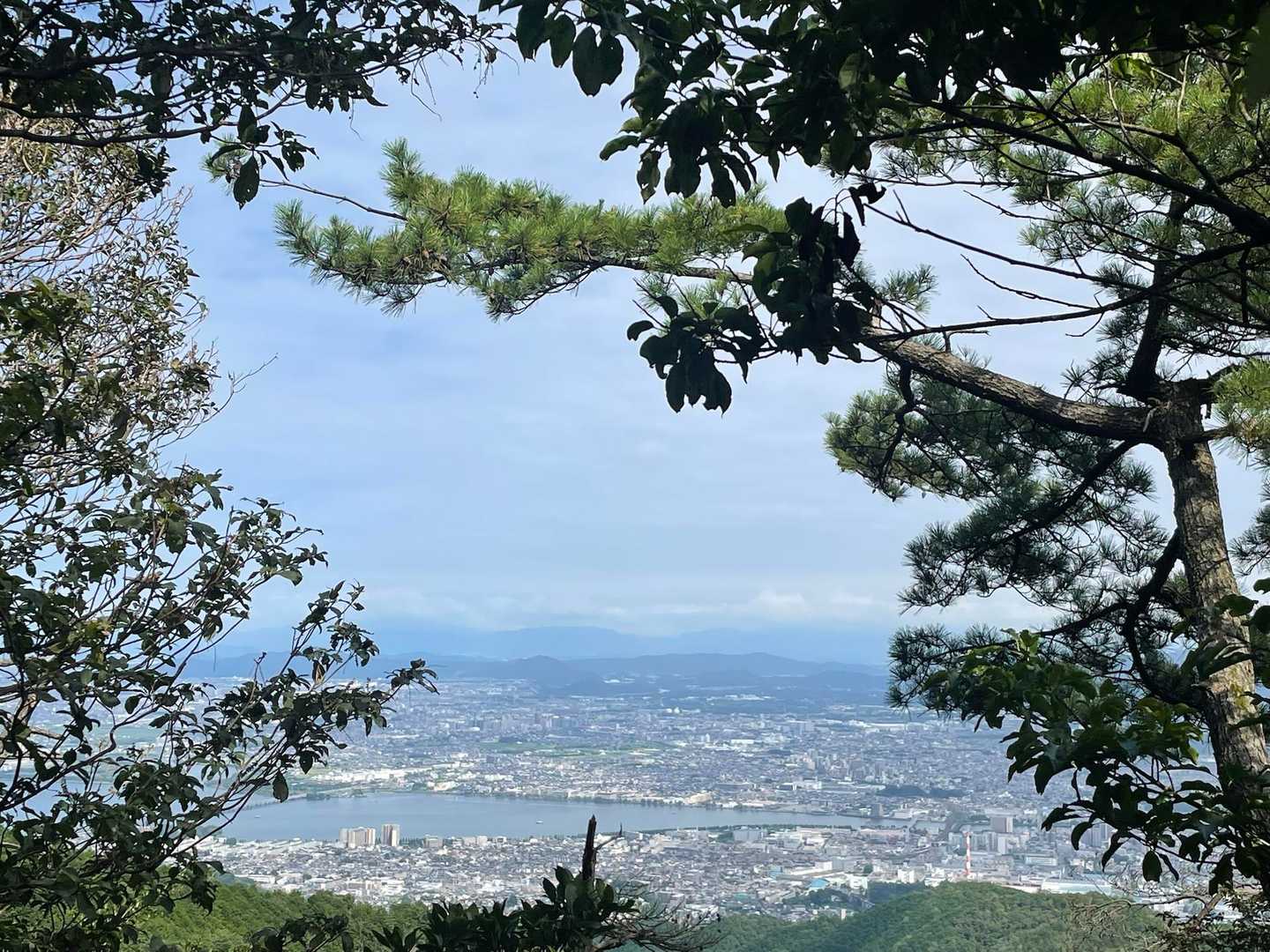 今日は鎌様見えず