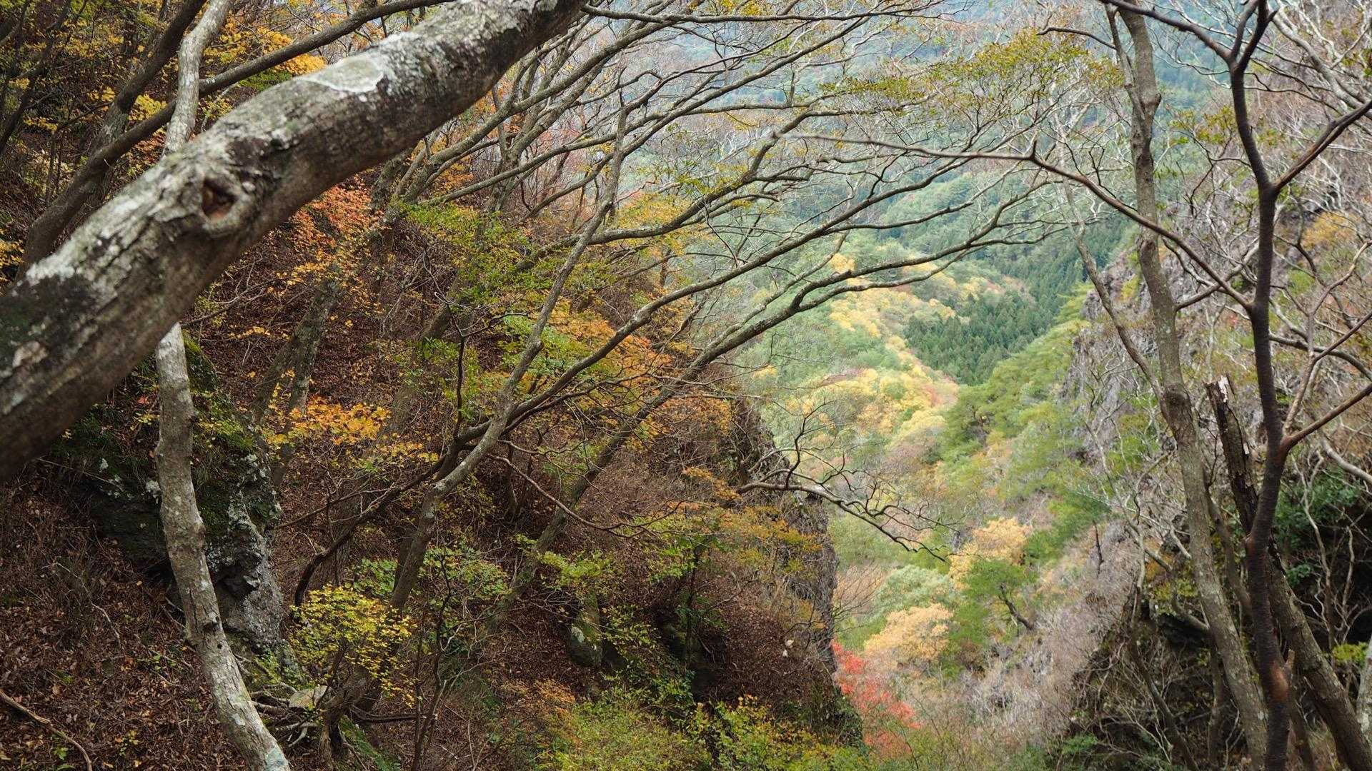 手前の紅葉と奥の渓谷の紅葉🍁