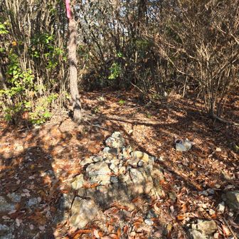 257峰山頂
標識…どこにあるのか分からなかった