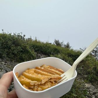 昨日焼いたリンゴパイ
甘くい