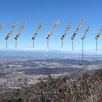 今日はえらい綺麗に見えるな