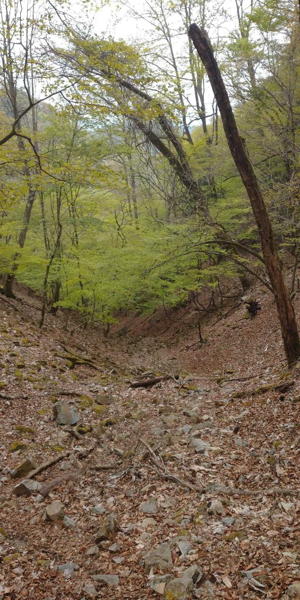 さて下山です。
道が分かりにくい谷の様な所を降りて行きます💦
