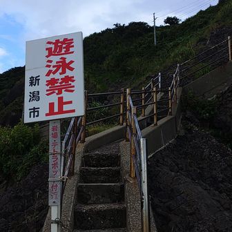 灯台コース登山口
(下山しました。)