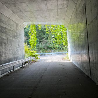 このすだれが見れるのは、あとどれくらいだろう