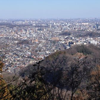 金毘羅台園地より都心方面を望む。
都心と言っても本当の都心は写真右奥の方。
まず麓の辺りに見える並木道が甲州街道のイチョウ並木。
そのずーっと奥の方に自宅がある。ｗ