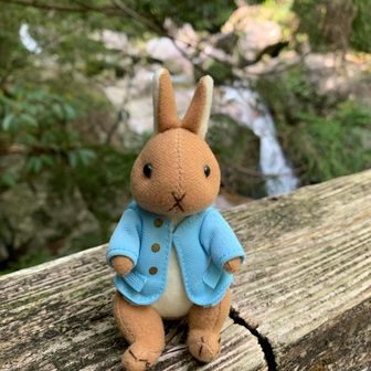 まるみえ🤍🐰