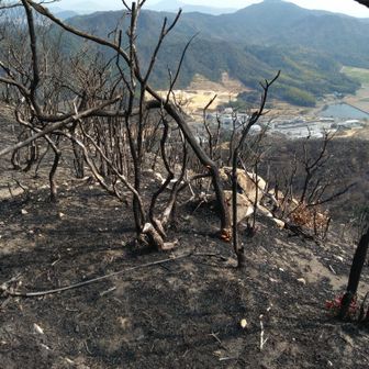 令和6年9月18日に山火事発生で4日間燃えたとの事🔥
火の山▲周辺は燃えずは守護神のお陰だそうです👍