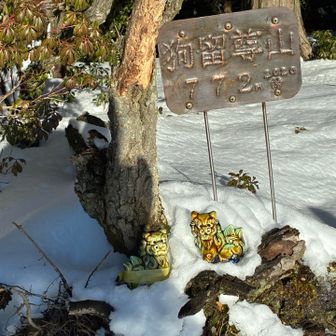 狗留孫岳とおちゃこ🎵