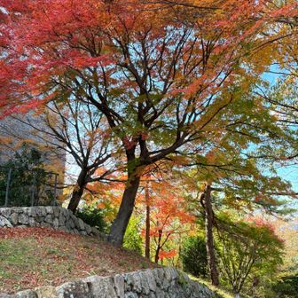 ロープウェイで舘山寺へ、らくらく移動😊