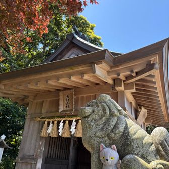赤い葉、緑の葉、青い空、狛犬グレー❤️💚🩵🩶
こにゃグレーと言って欲しいです😸　こにゃ