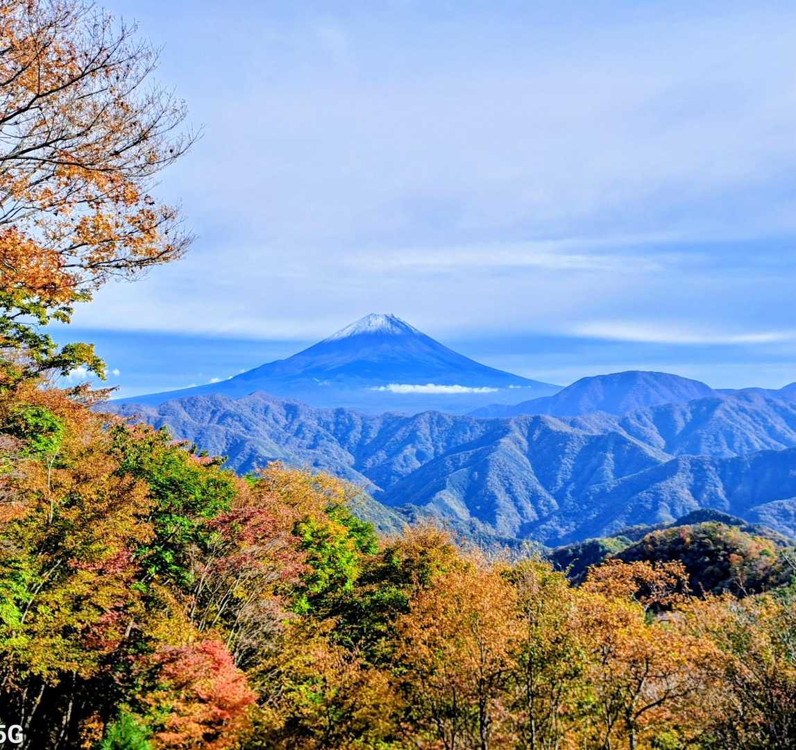 色鮮やかに染まる紅葉🍁越しの富士山🗻は格別に美しい✨️