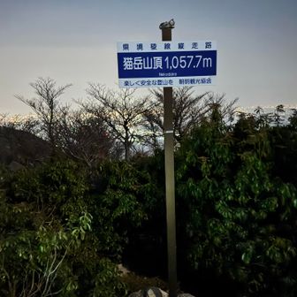 ⛰️猫岳
累計ピーク11／21座目