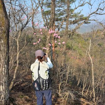 何の花かわからずもとりあえず撮る