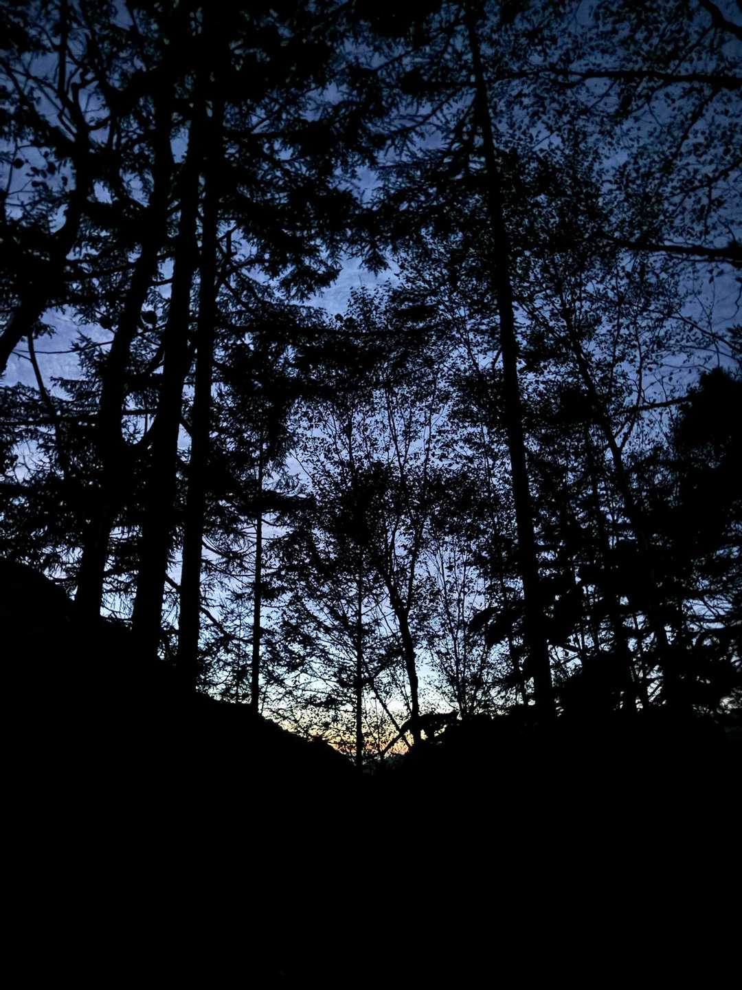 夜があけてきた