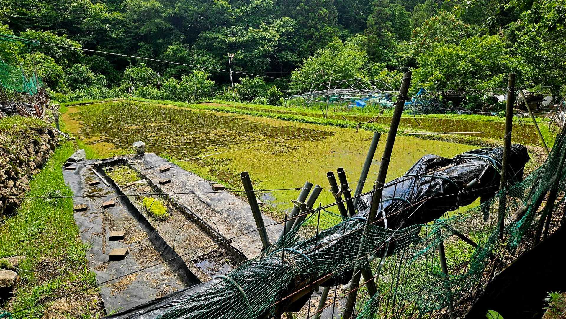 田圃も耕筰されている❗