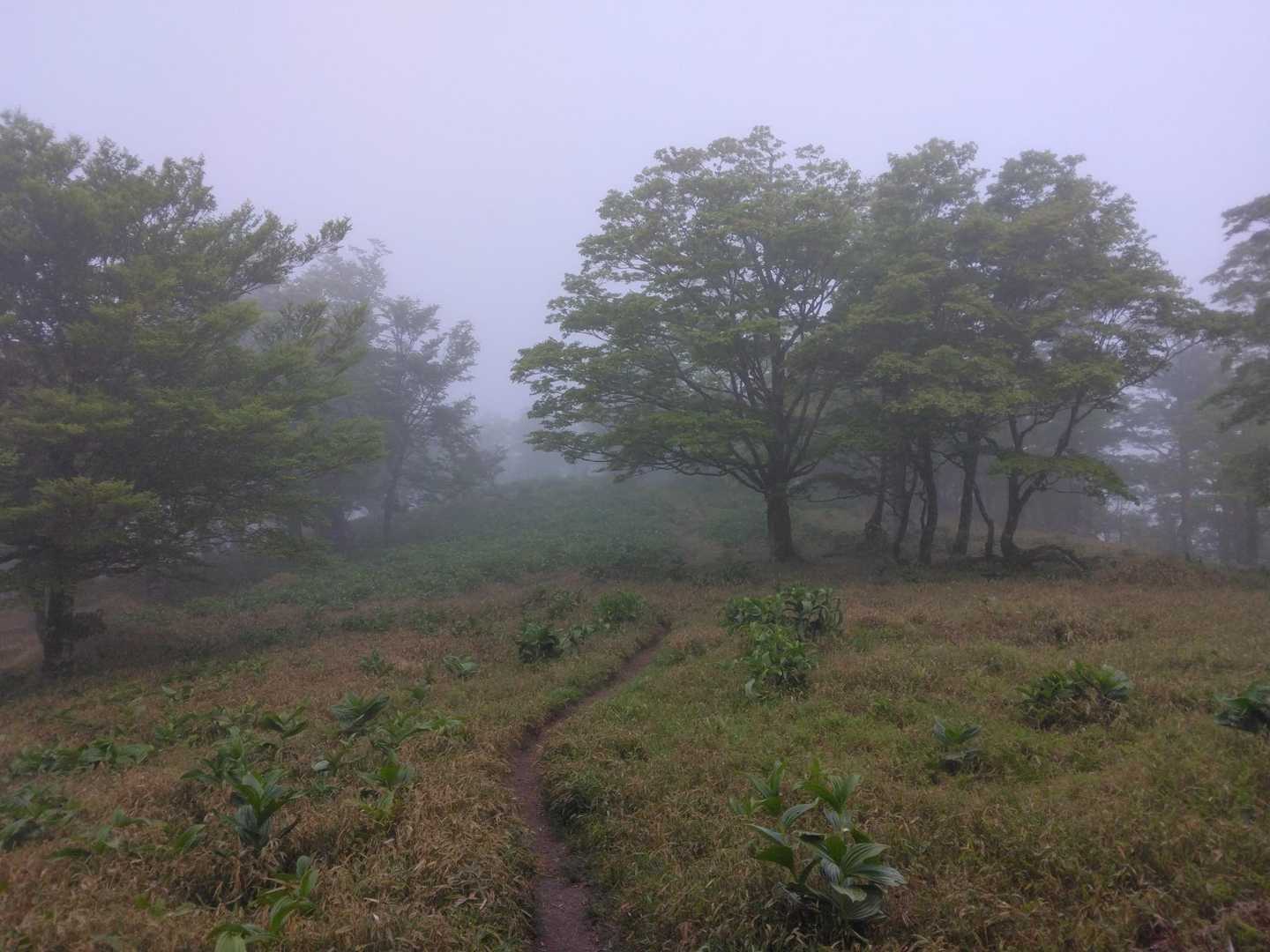 頬濡らすその雨の