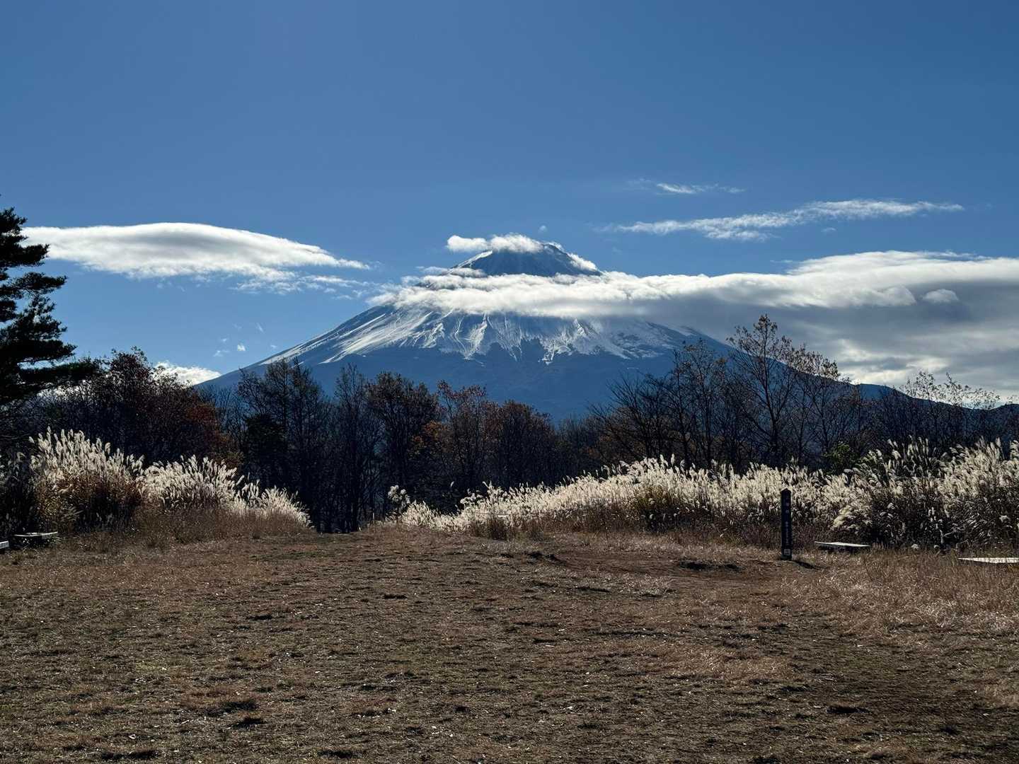頭出た🗻