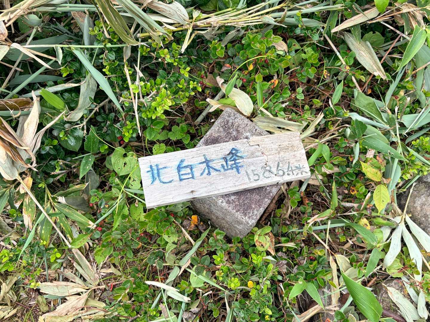 三角点はココです