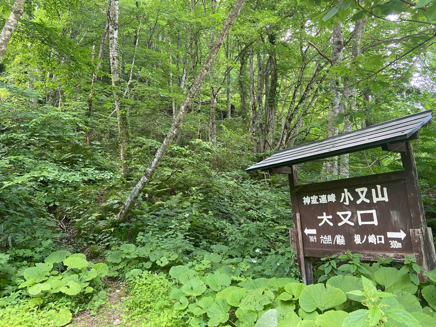 ありがとうございました🙂‍↕️🙏