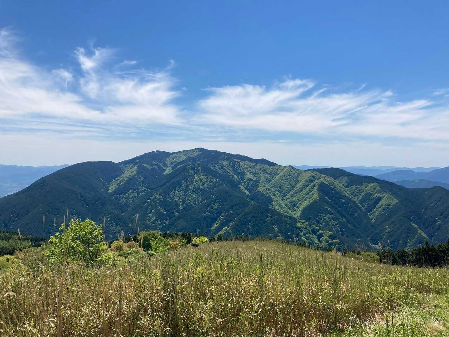 5月には圧巻のツツジの大群生。大阪・奈良を望む大和葛城山の写真