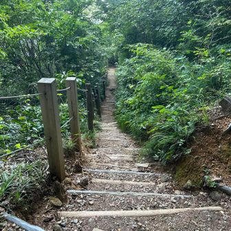 降りになると暑くても、足取りは軽快です。