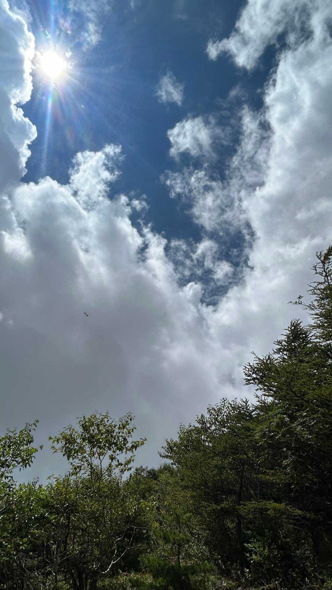 たまに現れる空…あつい🥵