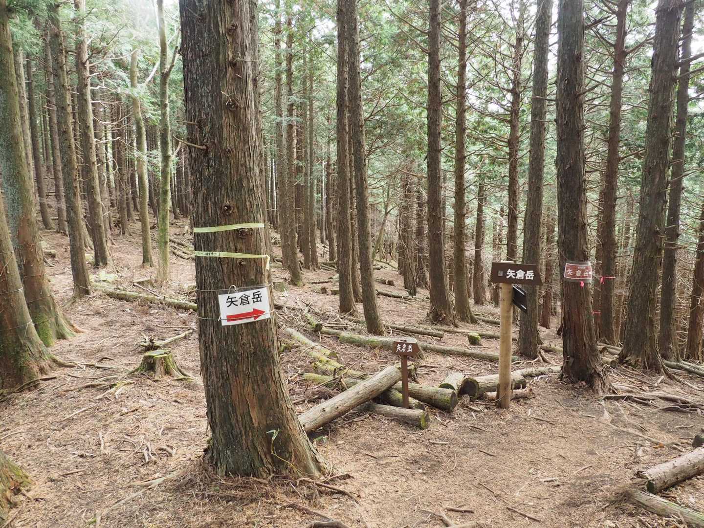 尾根伝いを歩いていると、くどいくらいの案内板。よっぽど間違える方が多いのですね