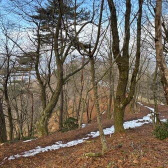 雪は殆どなく、まばら。