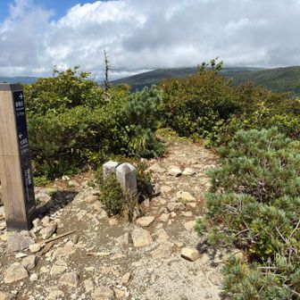 嶮岨森山頂