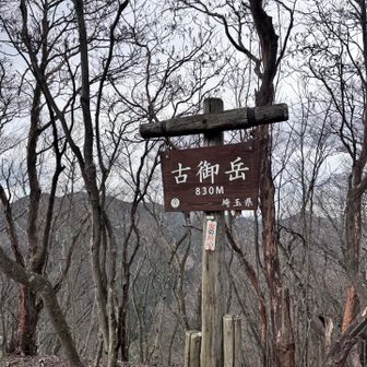 本日3っ目のピーク