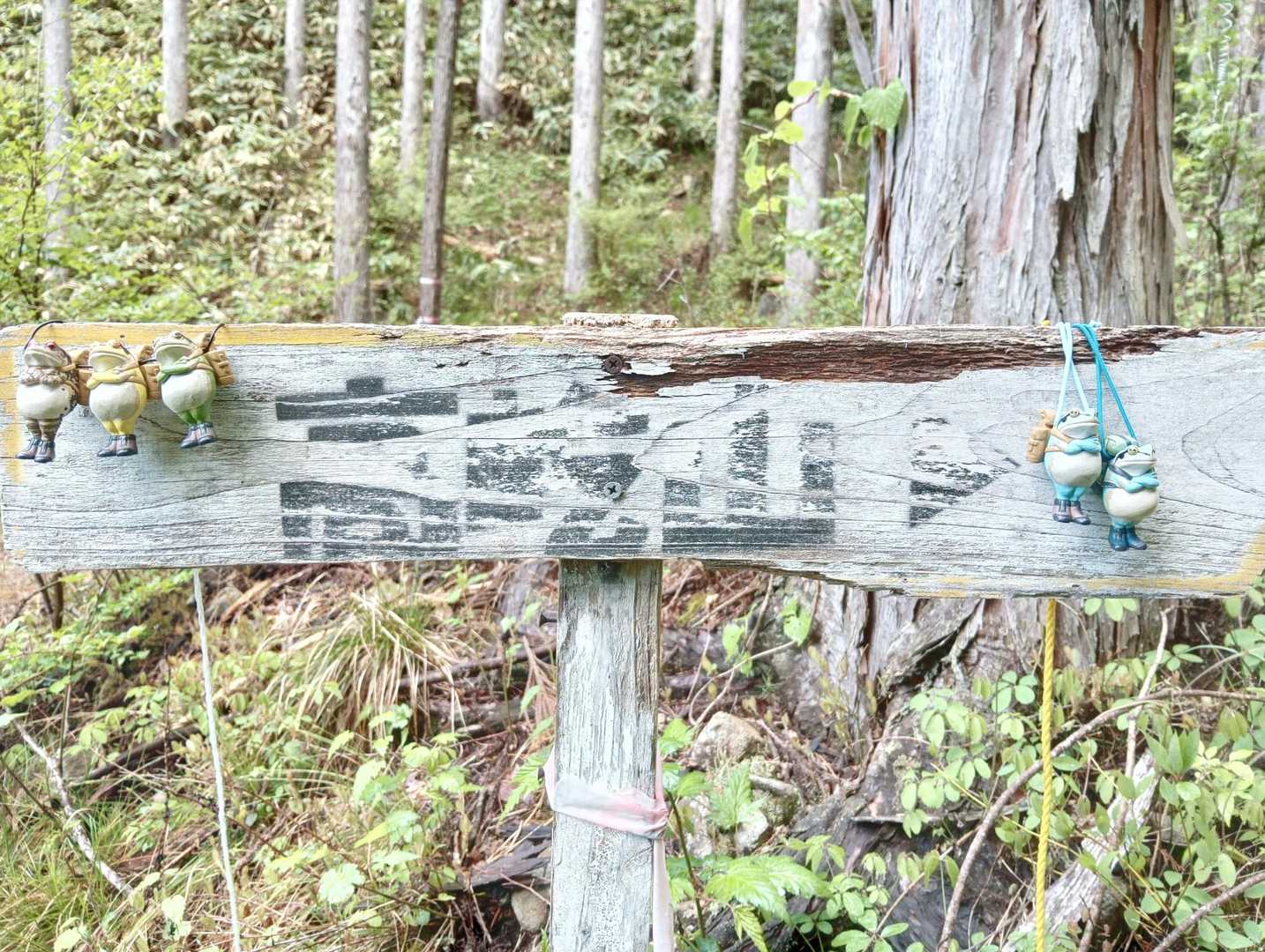 標識と同行者🐸