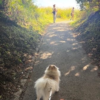 あ！また抱っこされてる🐶