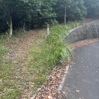 弓張岳登山口