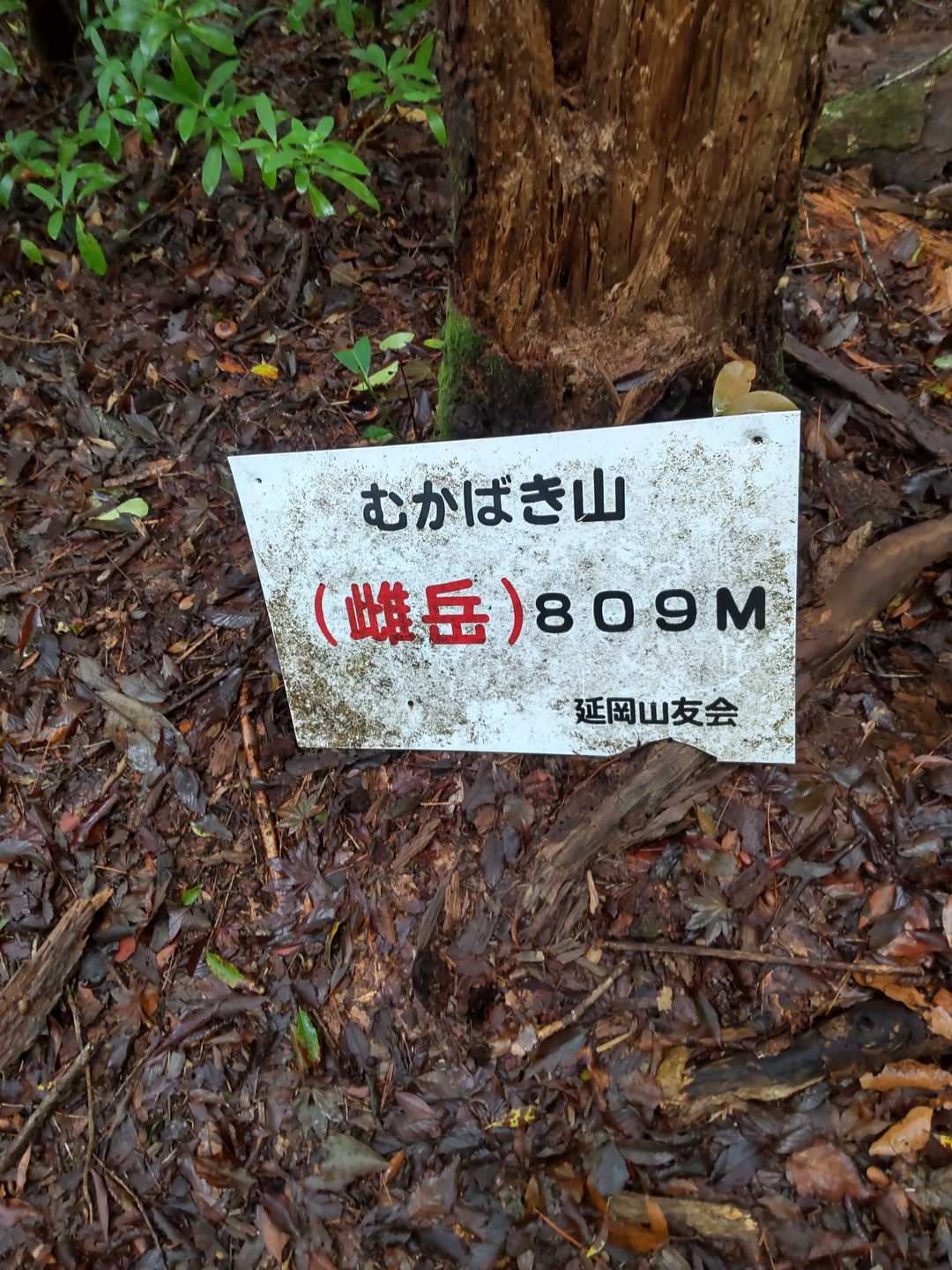山頂