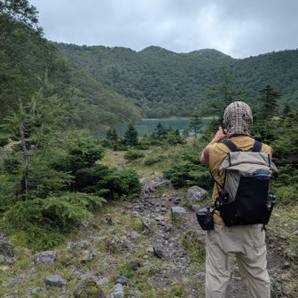 ここらから五色山に戻ります。
