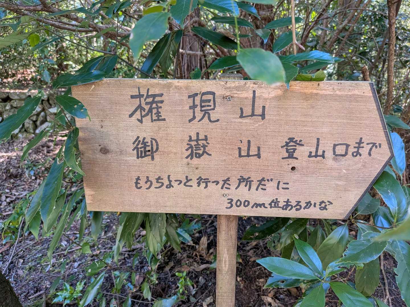 もうちょっと行った所だに

だに？ 岐阜弁ですか？三河地方でも田舎だと使うかな？
