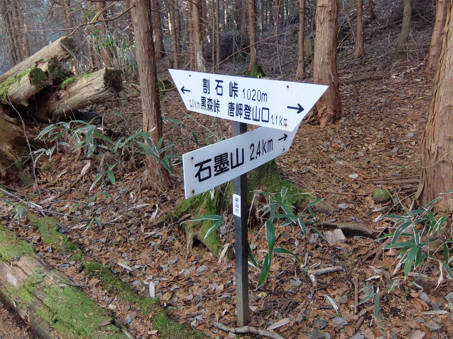 石墨山 往復コースの写真