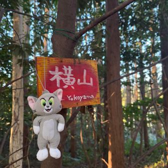 よこやま登頂！
神社の裏手にありました