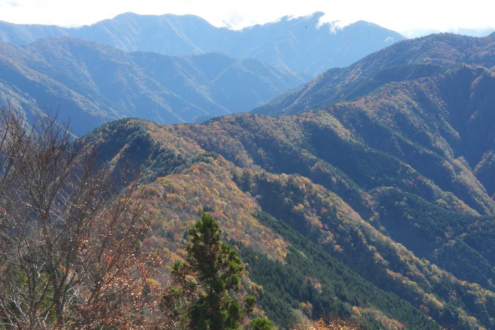三森-麻布山-戸中山-前黒法師山 往復コースの写真