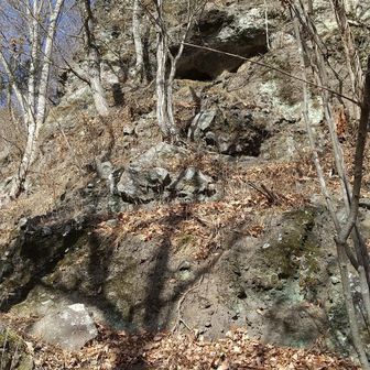 下から見るとこんな感じ