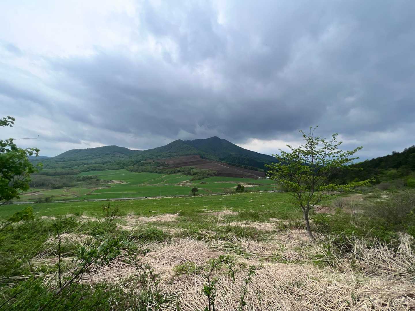 田代山-駒木立 周回コースの写真