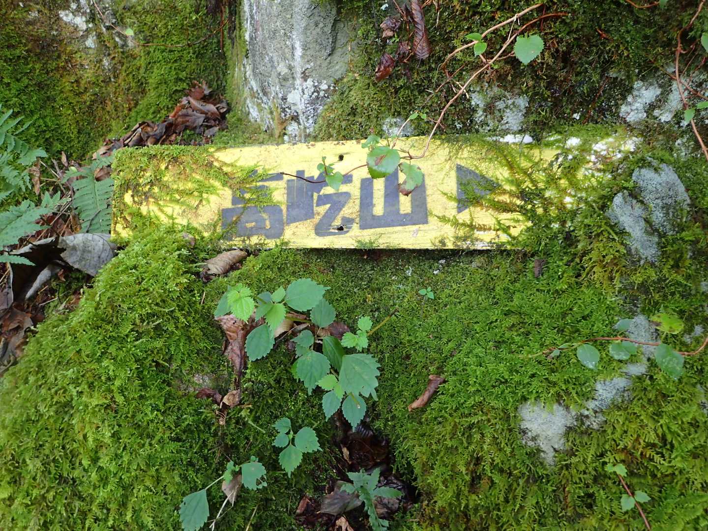 苔むす案内板