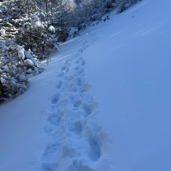 さてさて、来た道を降りましょう♪
下は楽チン