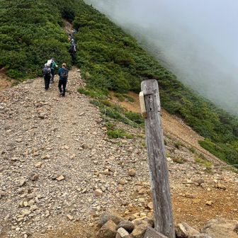 山頂は、奥に見えるピークの、さらに後ろ
